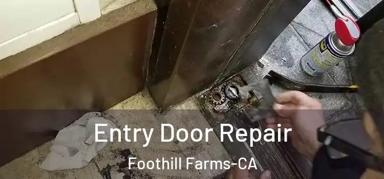  Entry Door Repair Foothill Farms-CA