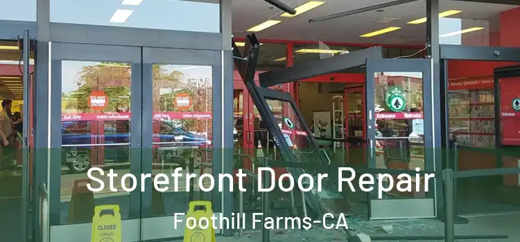 Storefront Door Repair Foothill Farms-CA